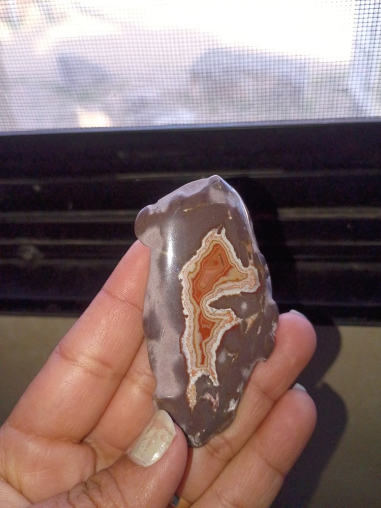 Montana Dryhead Agate Small Slab Polish