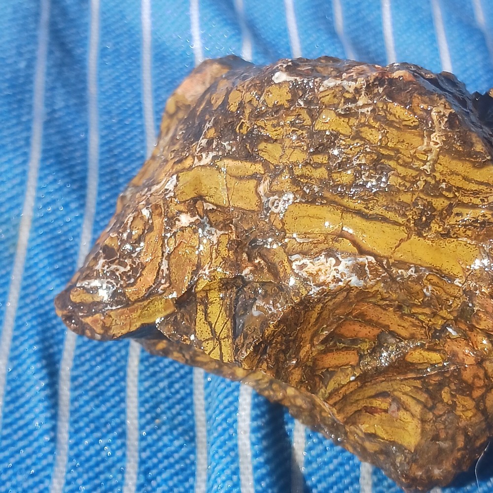 Jasper Rough Specimen Display Lapidary Potential