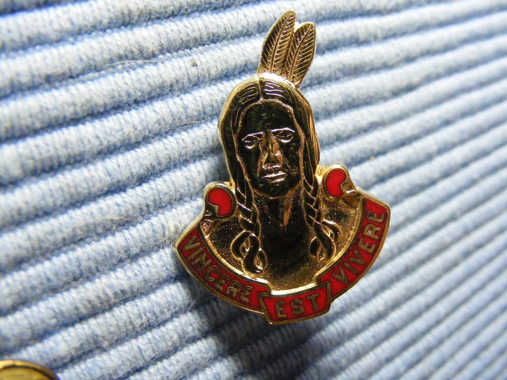211th Field Artillery Unit Crest