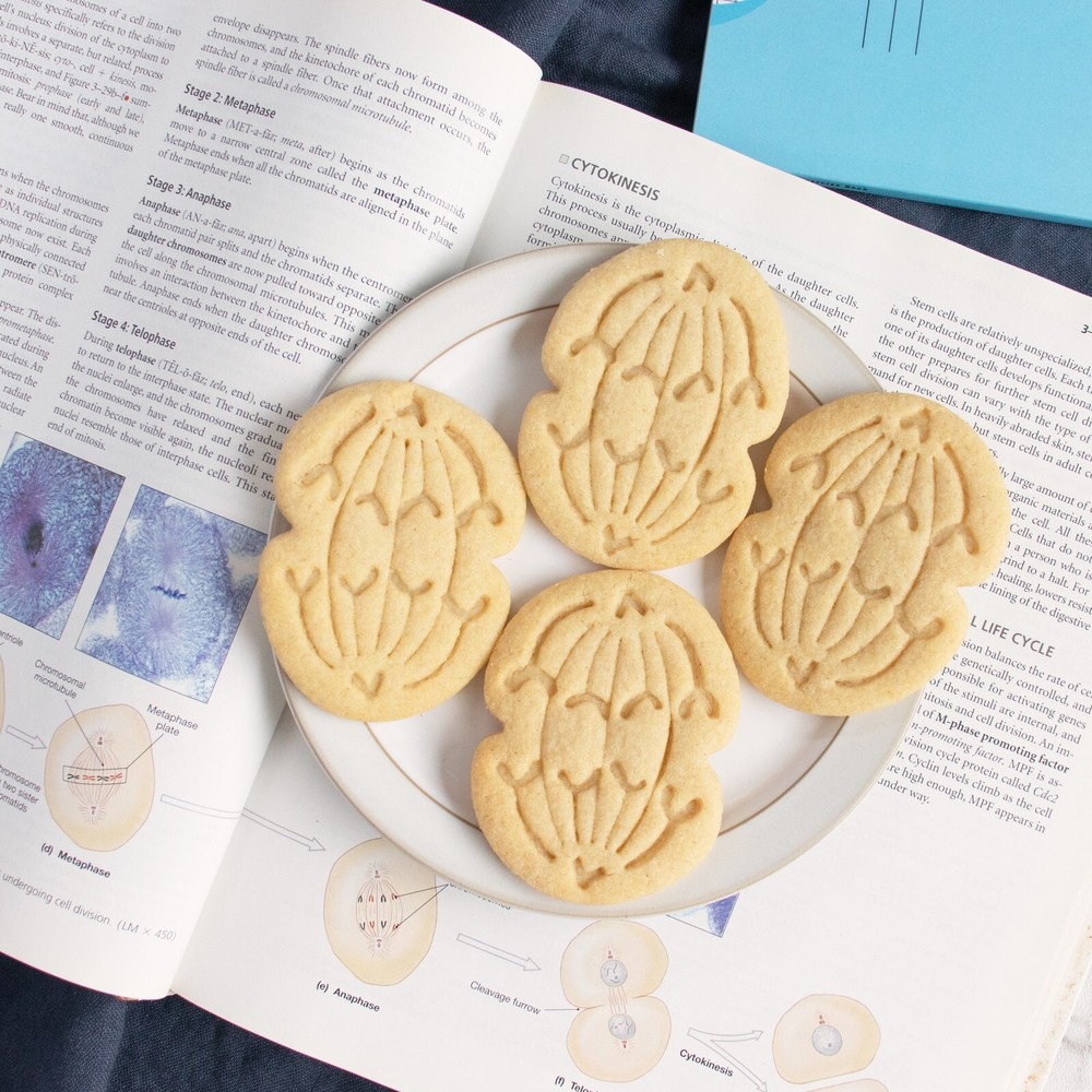 Anaphase Mitosis Cookie Cutter - mitotic microbiology laboratory science cell