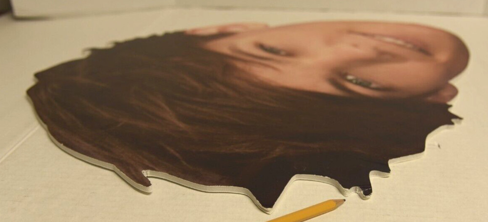 ONE DIRECTION - LOUIS - BIG FATHEAD - 2013 - 21" X 17"