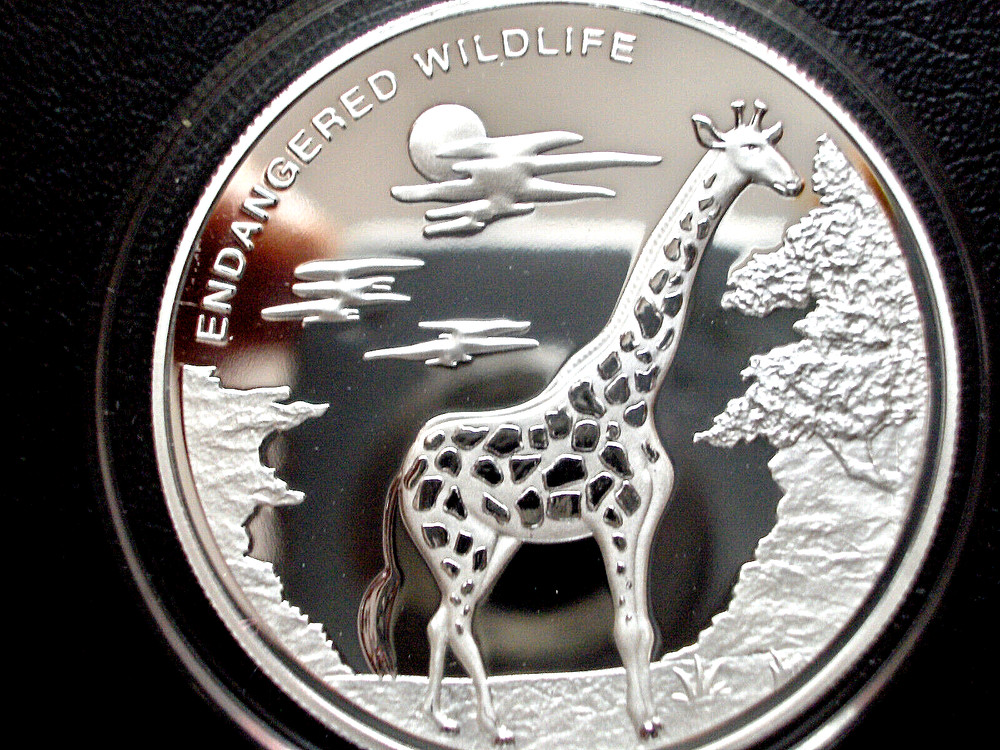 Congo 10 franc GIRAFFE  2007 silver