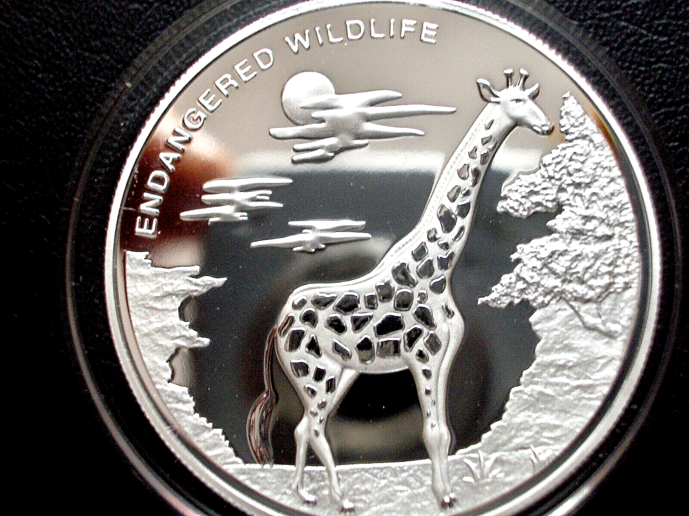 Congo 10 franc GIRAFFE 2007 silver