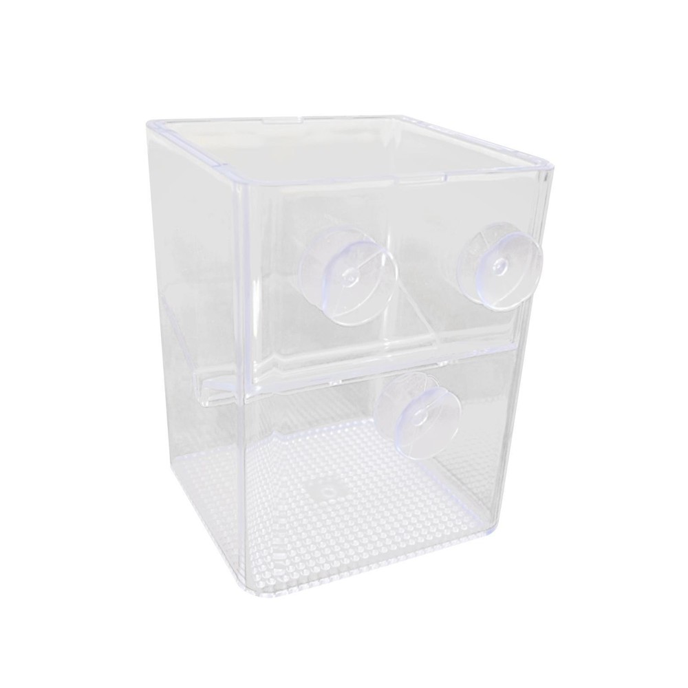 Fish Breeding Isolation Box Fish Isolation Box Floating Square Acrylic