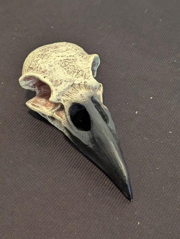 Gothic Raven Crow Skull Decor