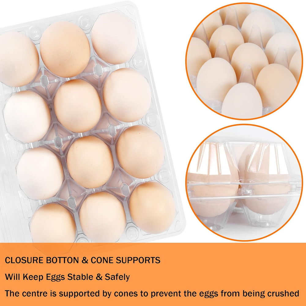 100 Pack 12 Count Plastic Egg Cartons - Bulk Cheap Clear Reusable Egg Containers