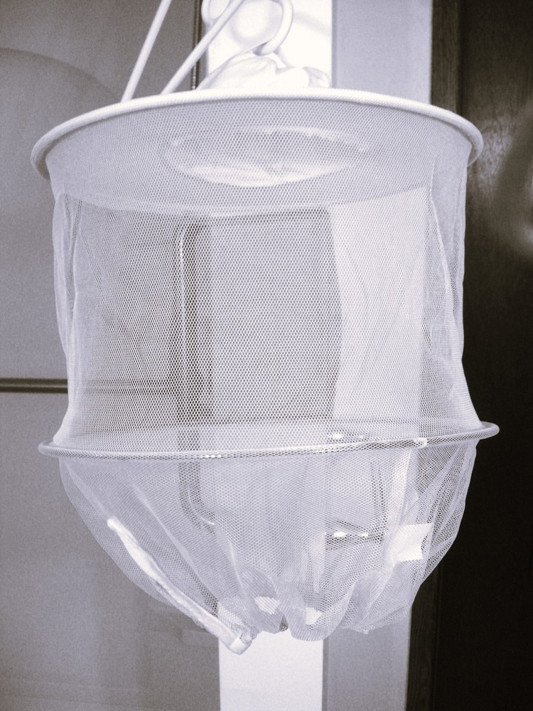 Little Giant Beekeeping Veil with Hat