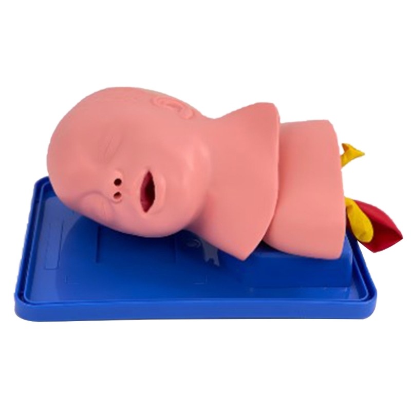 Baby Airway Insertion Training Model