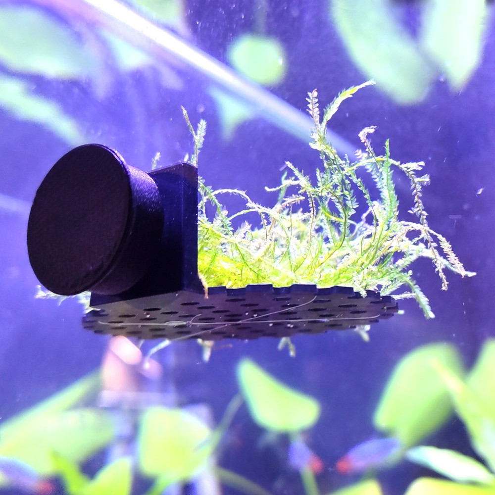 Magnetic aquarium moss ledge