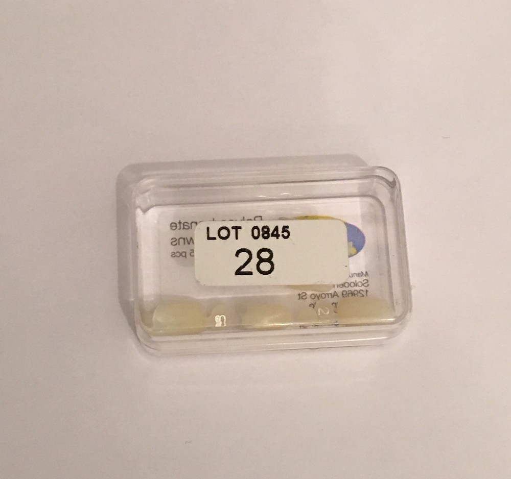 Dental Polycarbonate Temporary Crowns 5 pcs #28