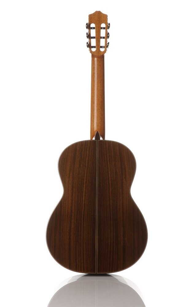 Cordoba C10 SP/IN Acoustic Nylon String Classical Guitar