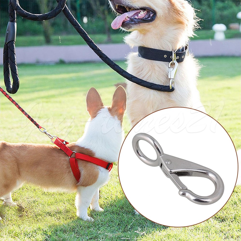 2 Pieces 304 Stainless Steel Fixed Spring Loaded Hook 3# for Rope Silver