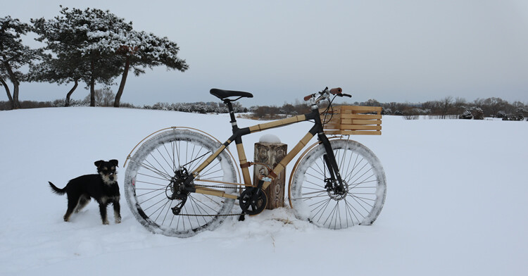Custom Bamboo Bicycle Full Coverage Fenders