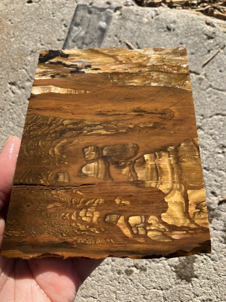 Biggs Jasper Slab (Oregon)