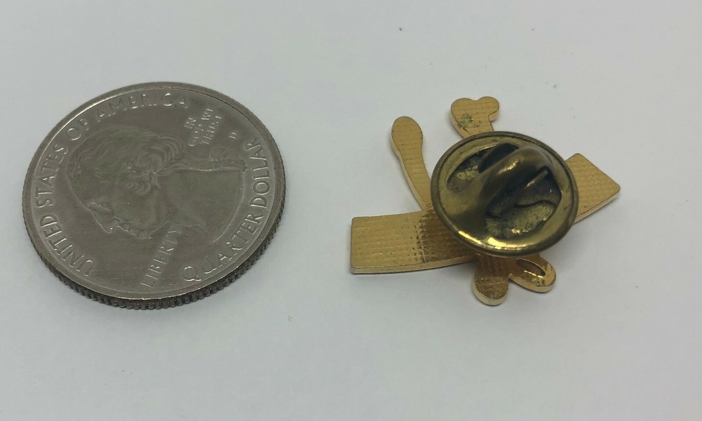 Make A Wish Wishbone Pin