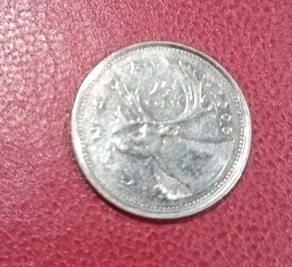 CANADA 25 CENTS 2006 Includes eBay 10p + 7% Fee
