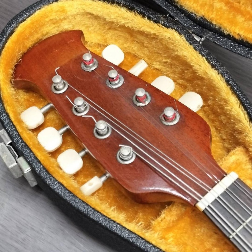 Mandolin SUZUKI M-215 with hard case