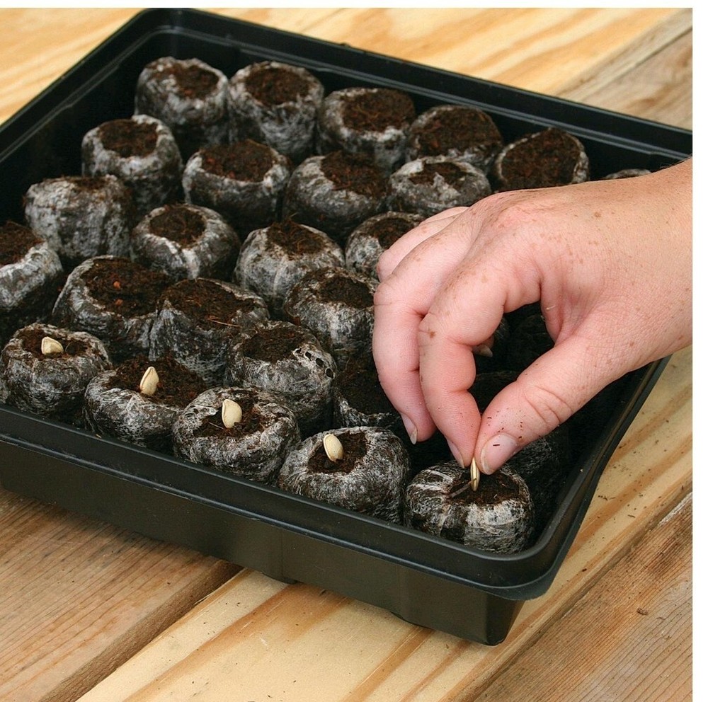 JIFFY SEED STARTING KIT 72 expanding Peat Pellet, Greenhouse seedling nursing