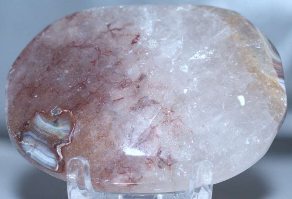 Agate Palm Stone 2.35"/69 Grams