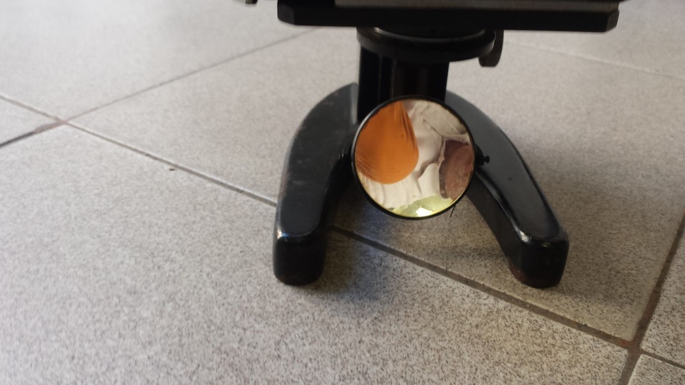 VINTAGE WINKEL-ZEISS GOTTINGEN MICROSCOPE