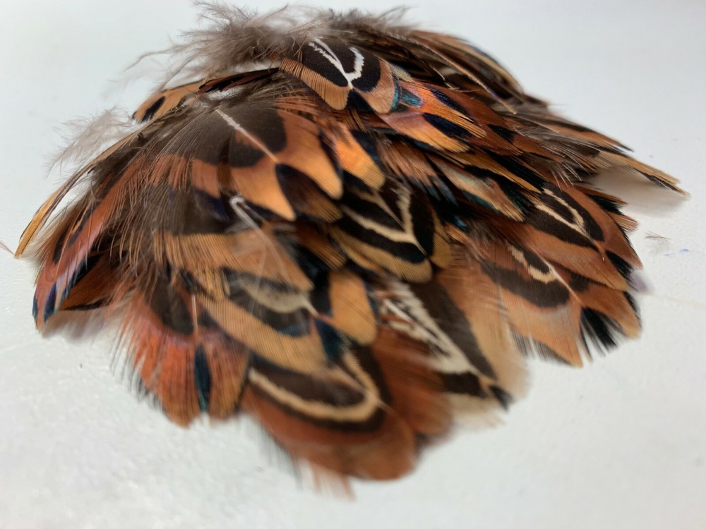 50pcs Natural 3-4cm Real Pheasant Plumage Feathers DIY Craft Boho Bulk Macrame