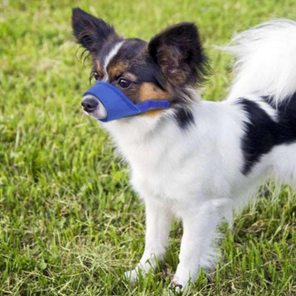 Cozy Quick Muzzle for Small Dogs - Adjustable & Breathable Blue XS Size