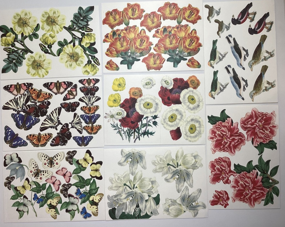 Anna Griffin Antique Botanical Die Cuts 8 Sheets