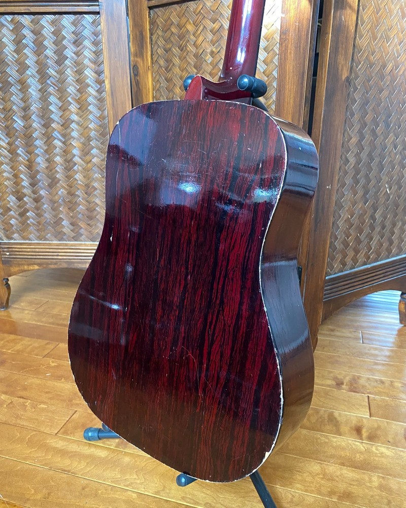 VINTAGE PALMER Acoustic