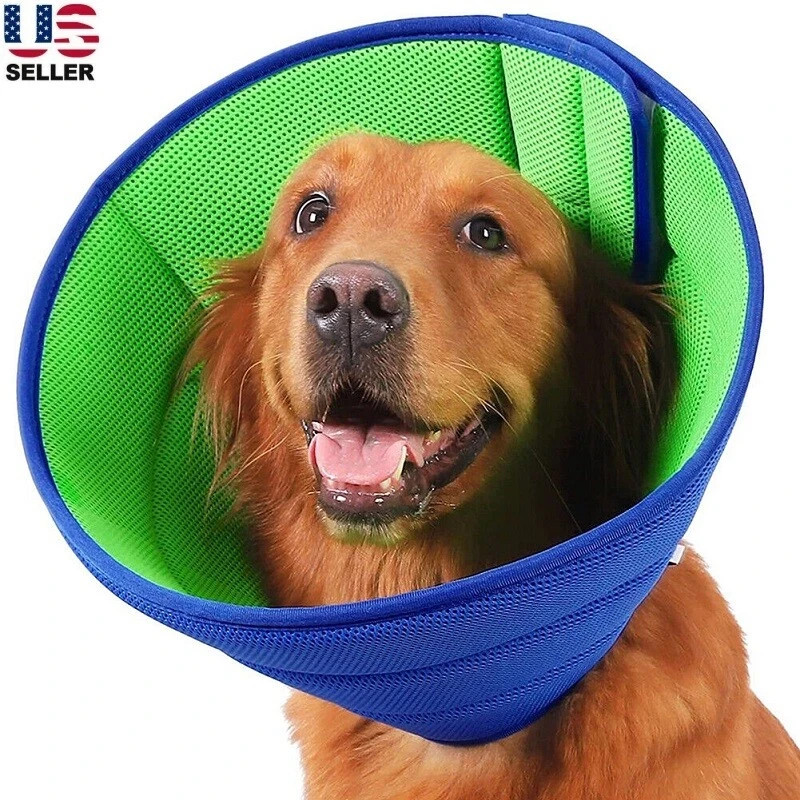 Pet Protective Collar for Dogs & Cats – Recovery Cone (Medium Size)