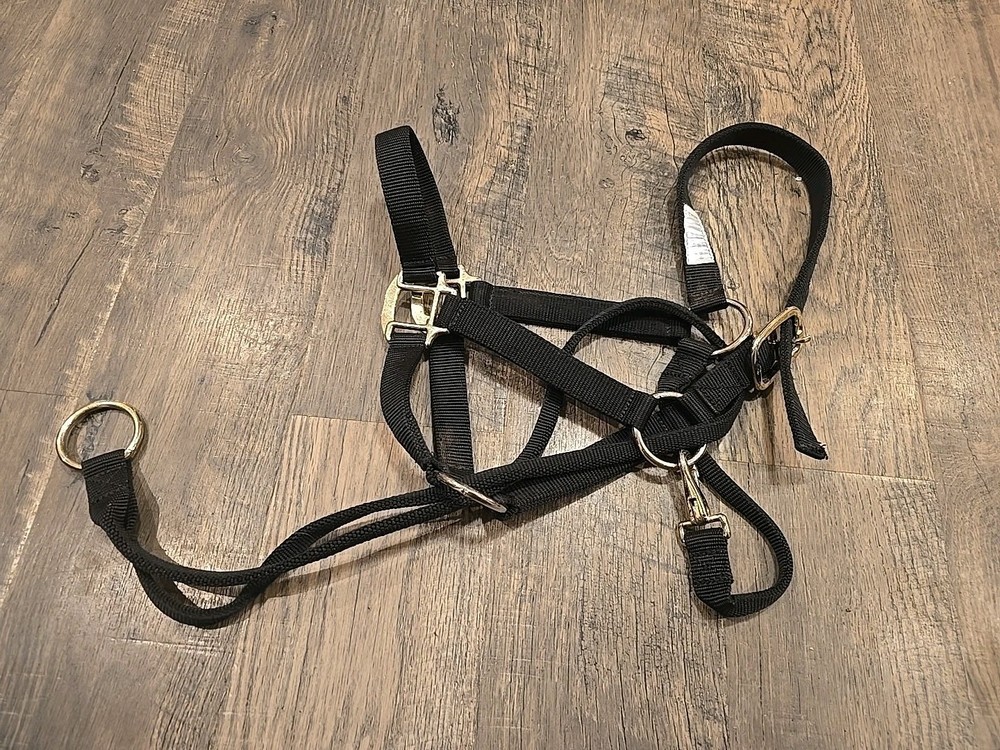 Horse Halter