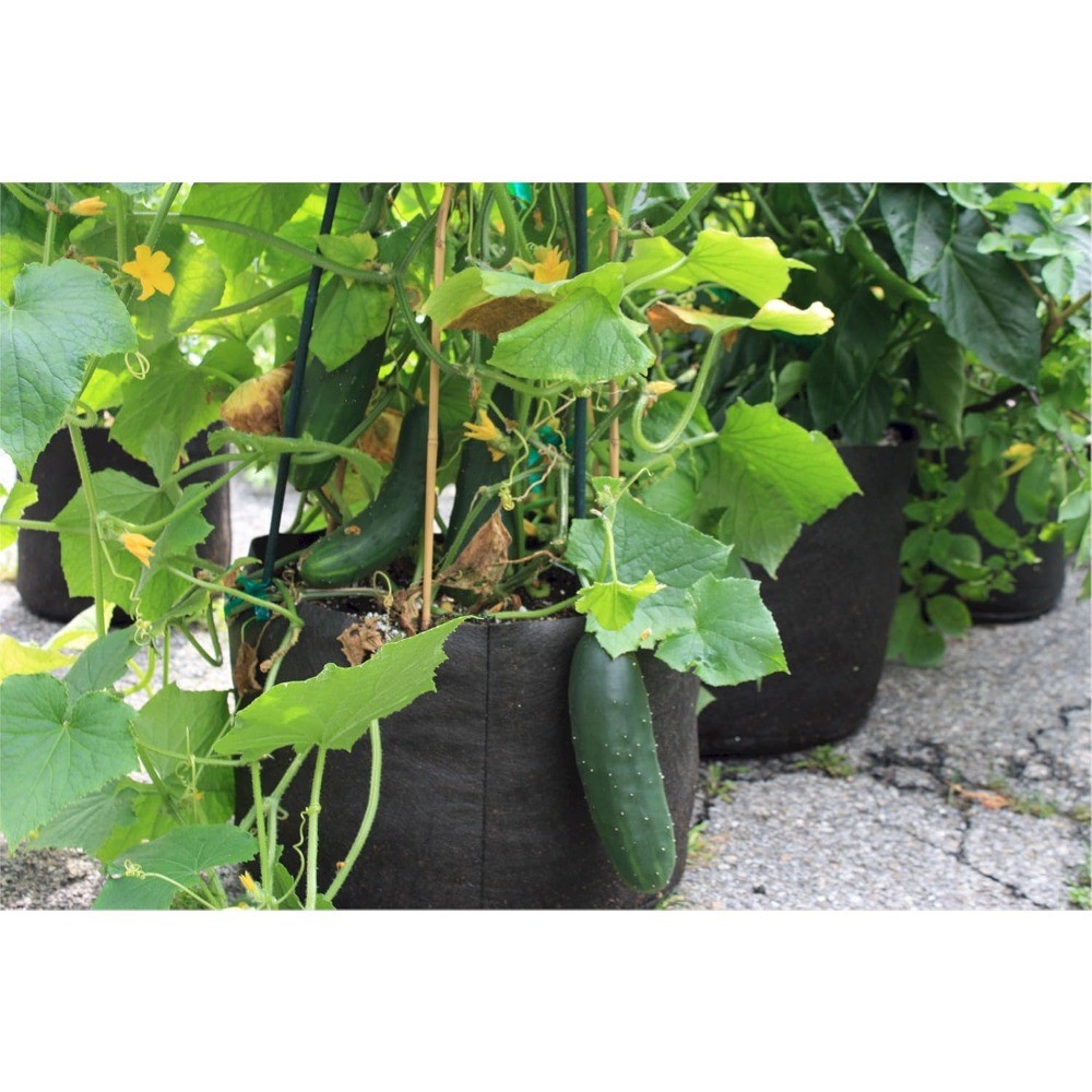 NEW,1-Gallon Smart Pot Soft-Sided Container, Black
