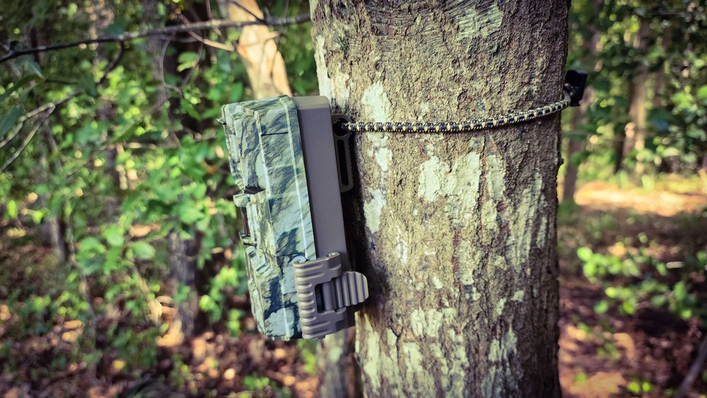 Tree Gripper Adjustable Trail Camera Strap (2 pack)