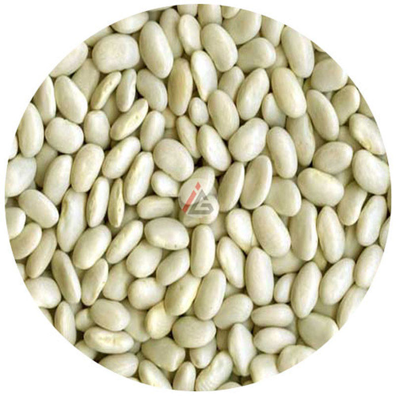 Great Northern Beans - 1Kg