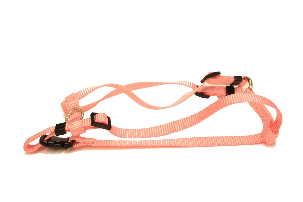 Collar Galaxy Premium Pet Harnesses, 1 Harness