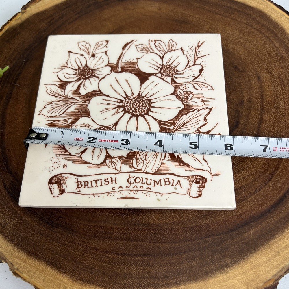 British Columbia Canada Backsplash Decorative Ceramic Wall Art Tile Kitchen