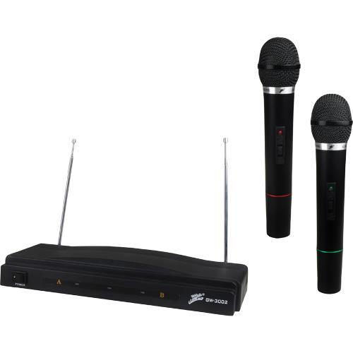 Zebra GW3002 Professional Wireless Dual Microphone System