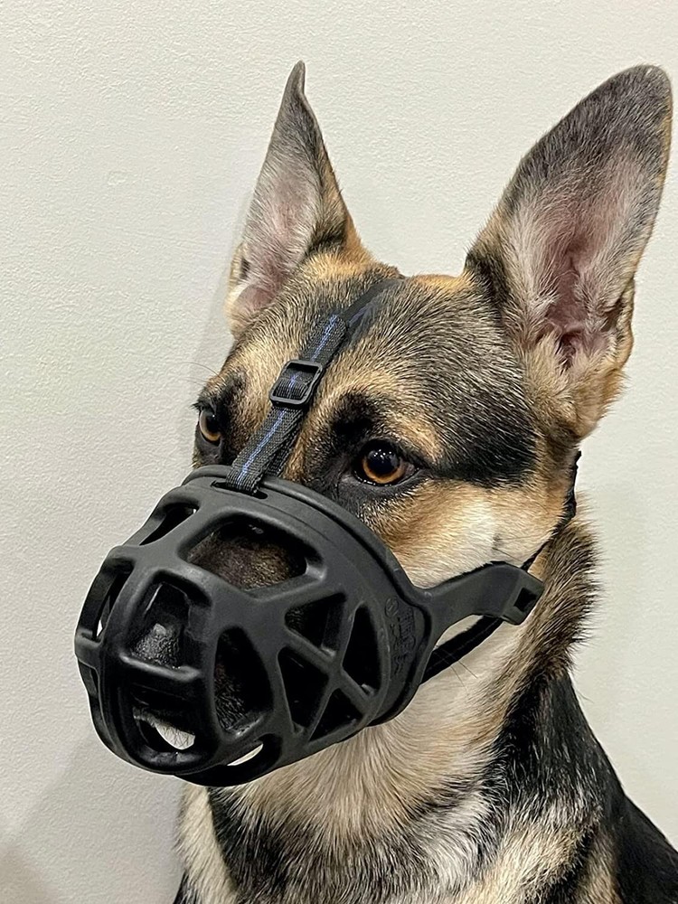 Dog Muzzle, Breathable Basket Muzzle Dogs Stop Biting Barking Chewing Medium #4