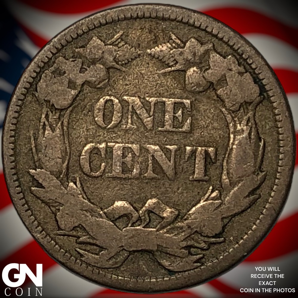 1858 Flying Eagle Cent Penny X9310