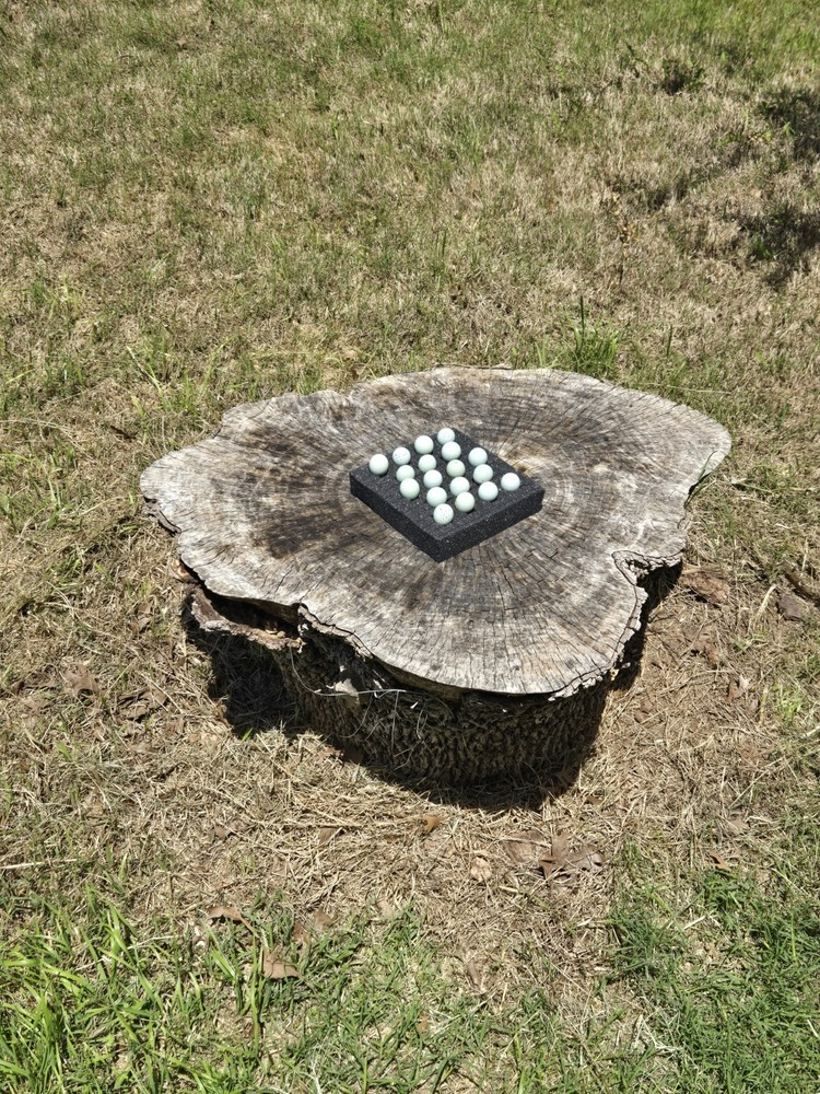 10+ Celadon Blue Coturnix Quail Hatching Eggs **100% TRUE BLUE**