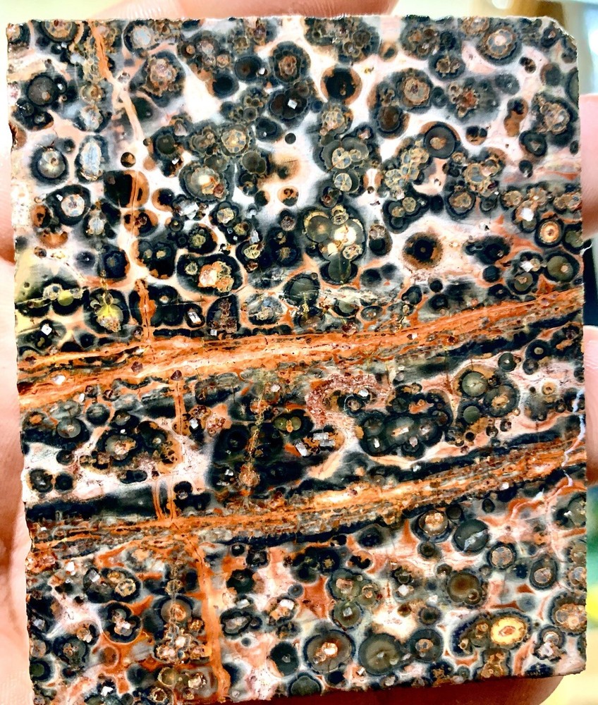 leopard skin jasper slab