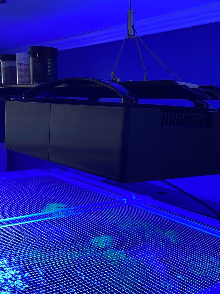 Ecotech XR30 Diffuser