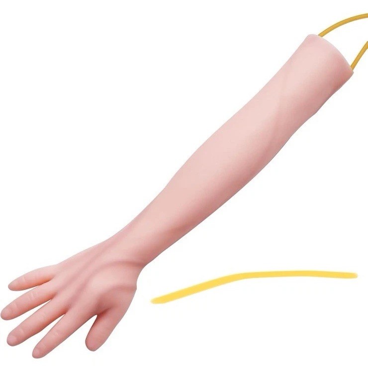 Advanced Venipuncture Arm Model
