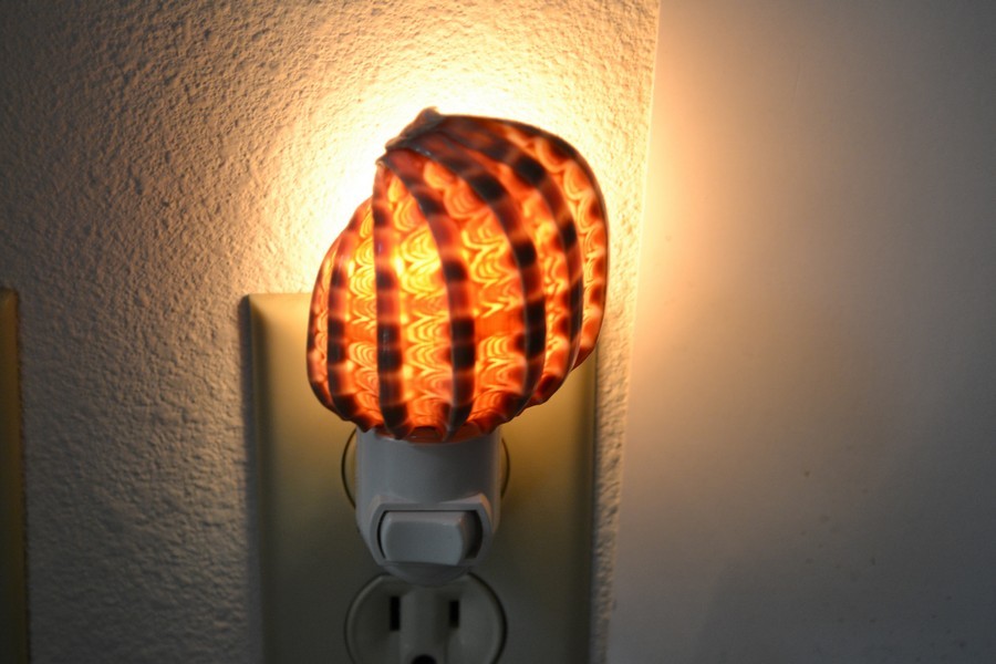 HARPA SEA SHELL NIGHTLIGHT BATHROOM KITCHEN