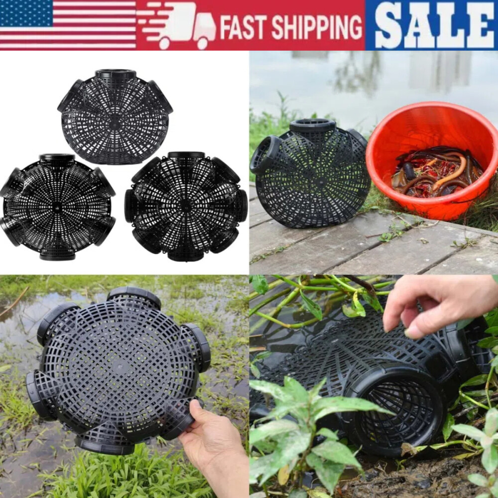 Thickened Eel Loach Cage Simple Design Creative Shape Crayfish Catcher Suitable