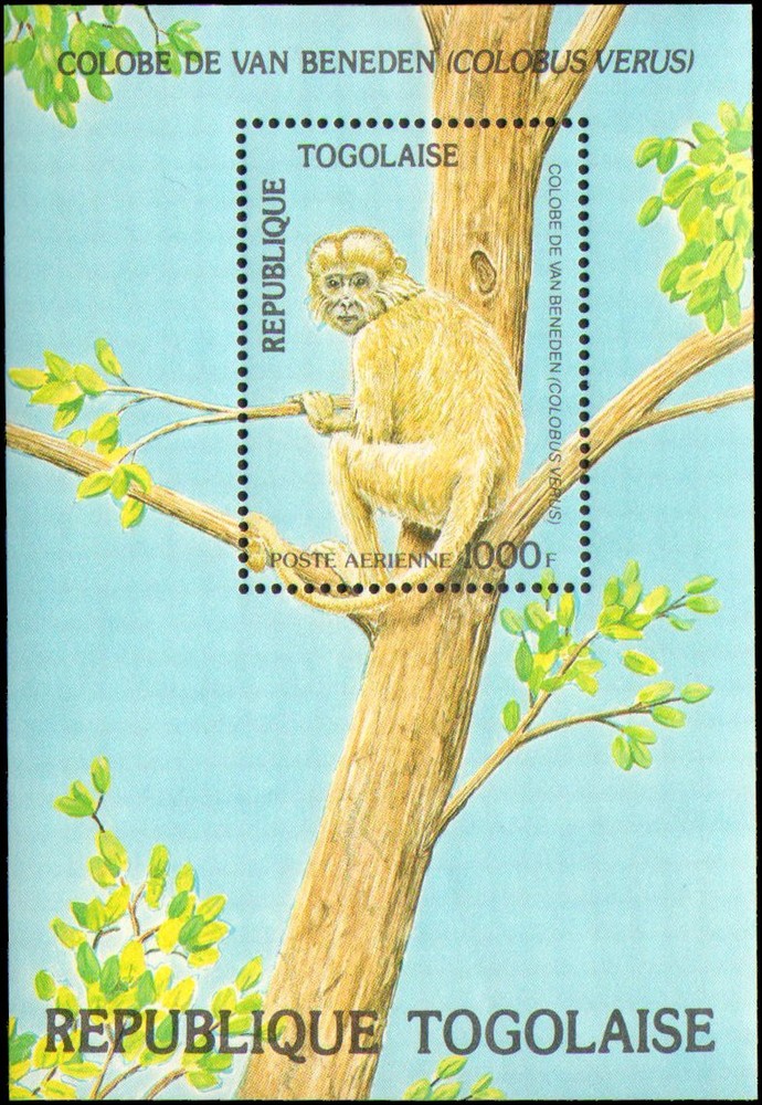 Togo #1245 MNH VF s/s