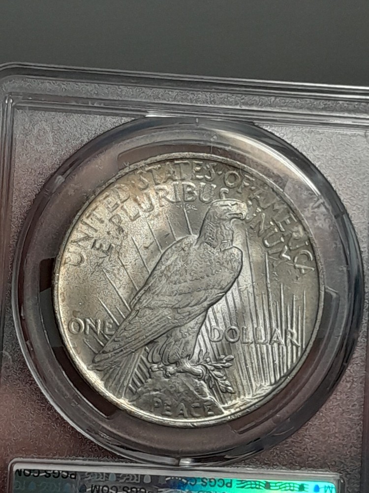 1922 Peace Silver Dollar MS63 PCGS