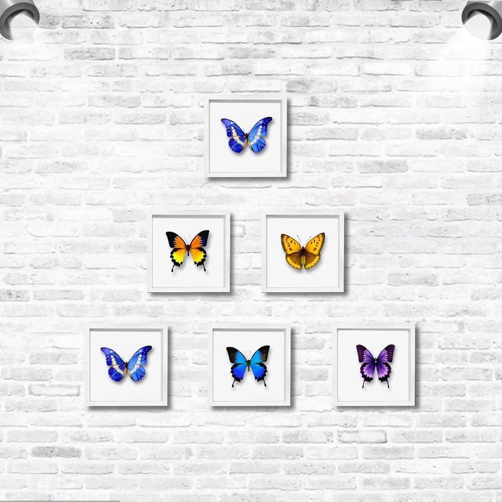 Versatile 5x5 Square Shadow Box Frame for Home or Office