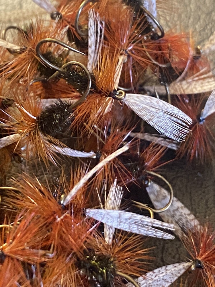 6 x John Storey Dry Fly #12.