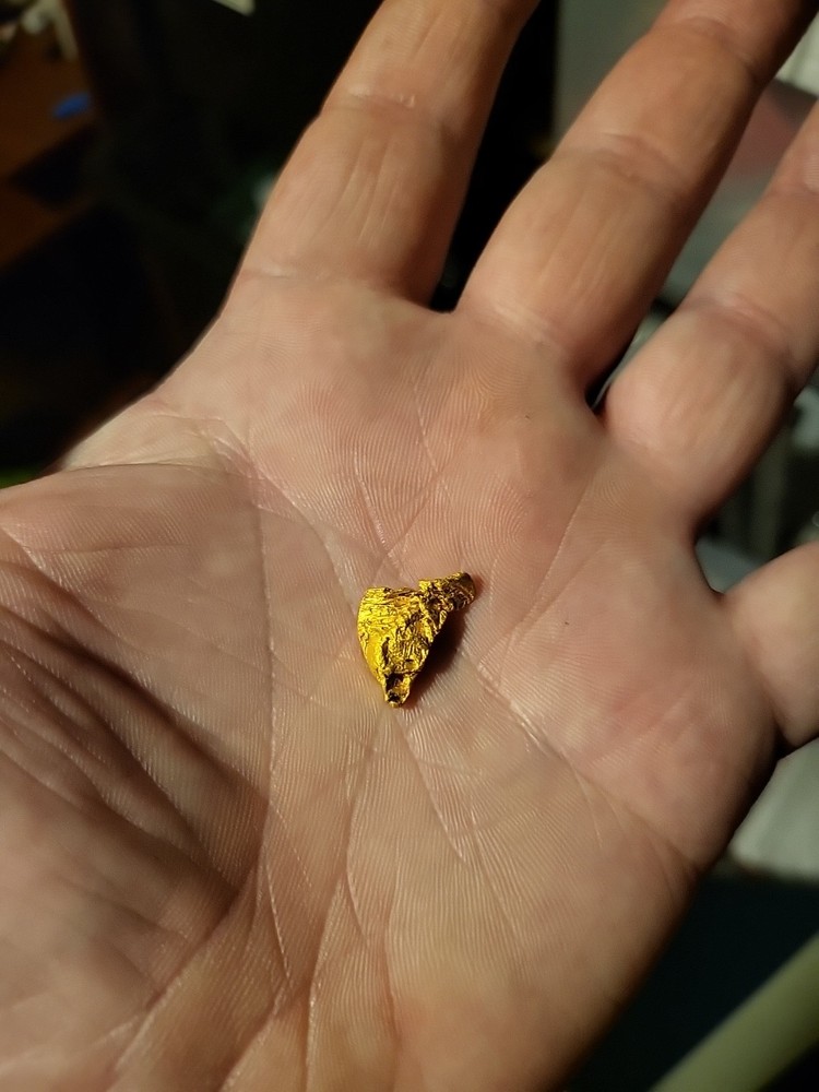 Gold Nugget