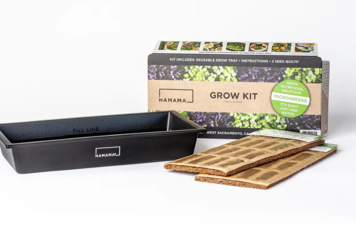 Microgreens Growing Kit